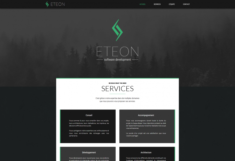 Eteon-Software-Development-00